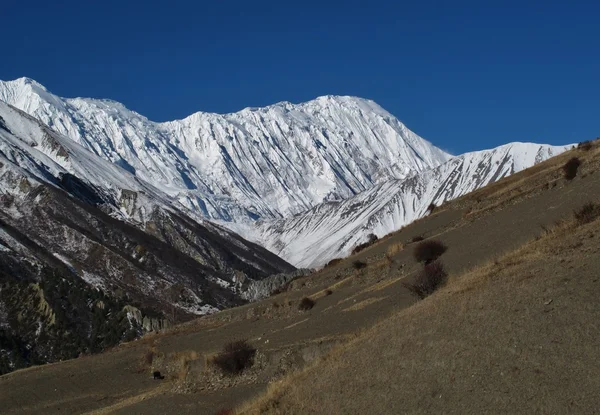 Tilicho Peak and fields in high altitude — Stock Photo, Image