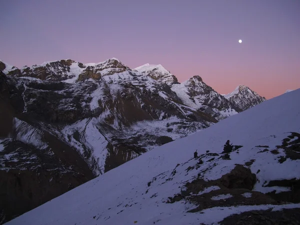 Pembe akşam — Stok fotoğraf