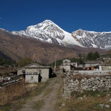 Köy Titi ve Dhaulagiri