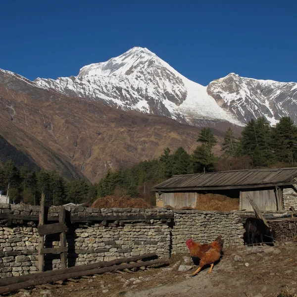 Paesaggio a Titi — Foto Stock