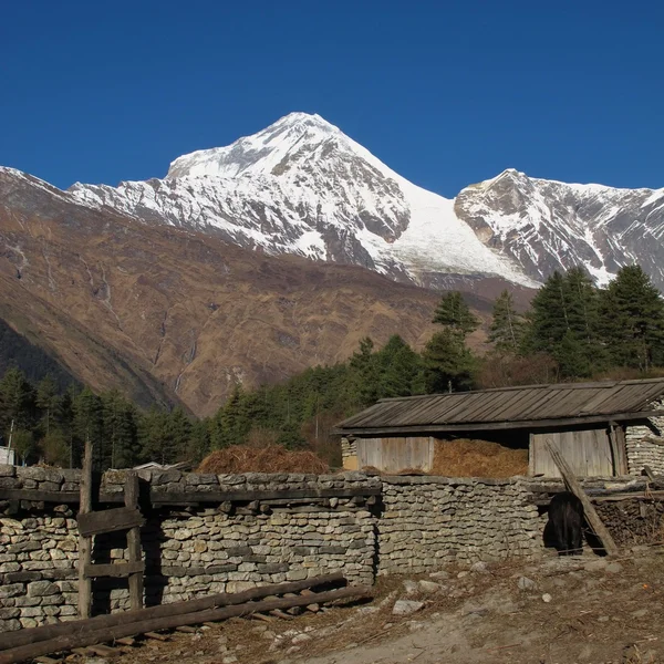 Dhaulagiri, vista desde Titi — Foto de Stock