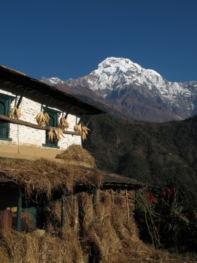 Annapurna Güney ve bir cephe üzerinde Mısır kurutma