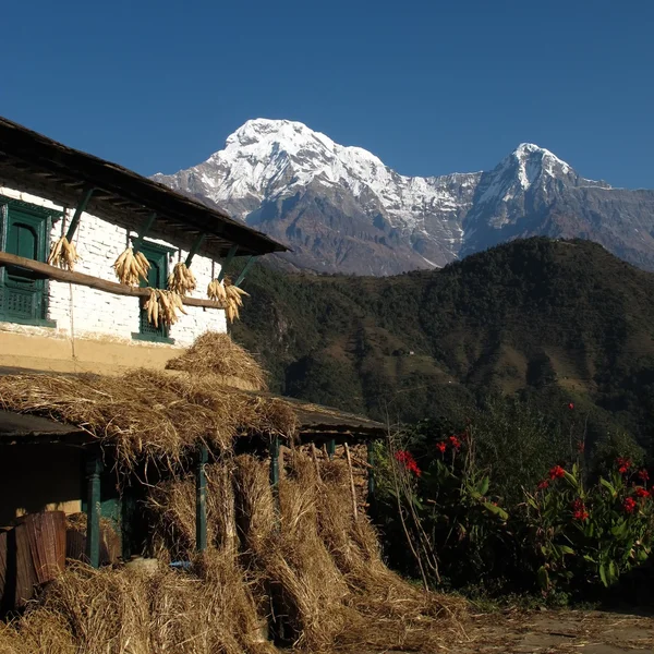 View from Ghandruk, Annapurna South and Hiun Chuli — Stock Photo, Image