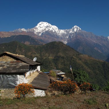 pastoral manzara annapurna koruma alanında, ghandruk