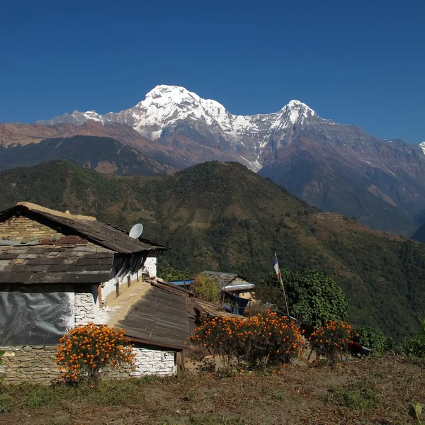 Sielankowy krajobraz w obszarze ochrony annapurna, ghandruk — Zdjęcie stockowe