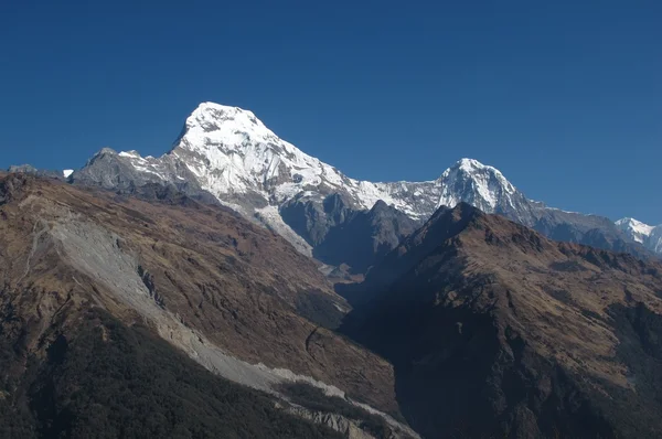 Annapurna Güney ve hiun ziyaret — Stok fotoğraf