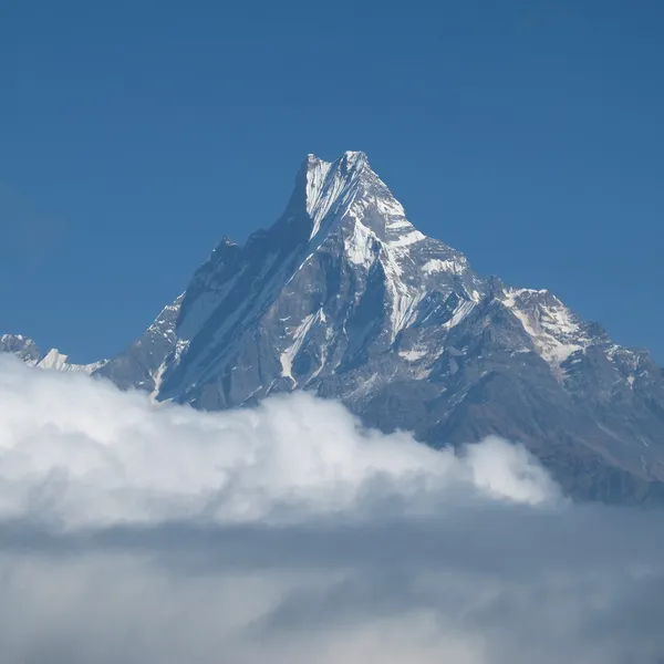 著名的 machapuchare 钻出云层到达的高峰期 — 图库照片