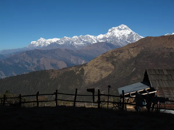 Dhaulagiri утром — стоковое фото