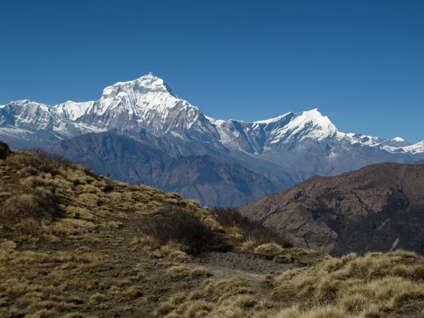 Dhaulagiri und tukuche peak — Stockfoto