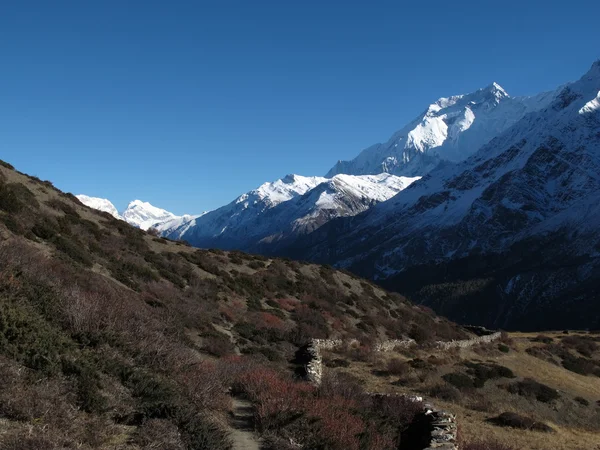 Annapurna två och berg äng — Stockfoto