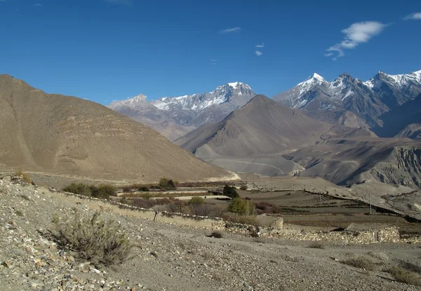 Pola w suche regionie dolnej mustang, nepal — Zdjęcie stockowe
