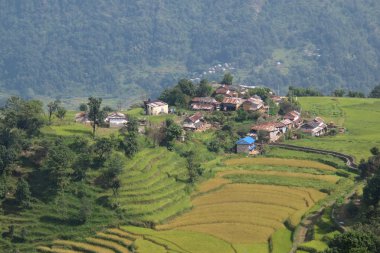 Village on a hill top near Khudi, Nepal clipart