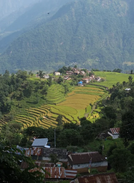 Liten by i centrala nepal — Stockfoto