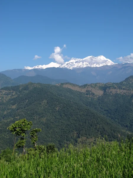 Snow capped Annapurna Range and green hills — Stock Photo, Image