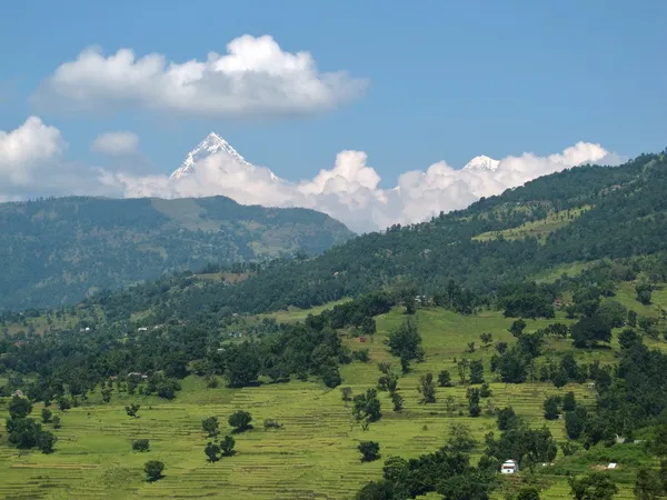 Paesaggio verde e vetta della famosa montagna Machapuchare — Foto Stock