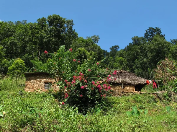 Pokhara homestead — Stok fotoğraf