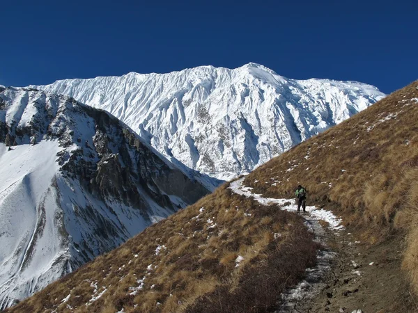 Foot path of the Tilicho Trek and snow covered Tilicho Peak — Stock Photo, Image