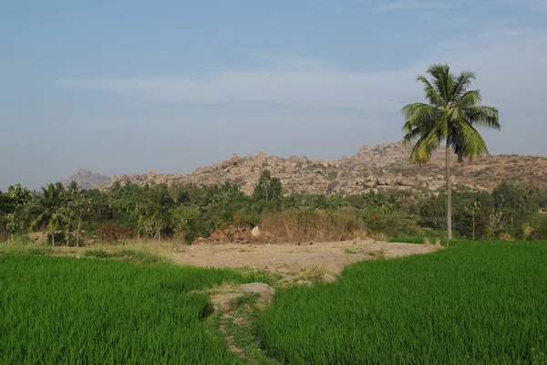Hampi, 인도 근처 독특한 풍경 — 스톡 사진