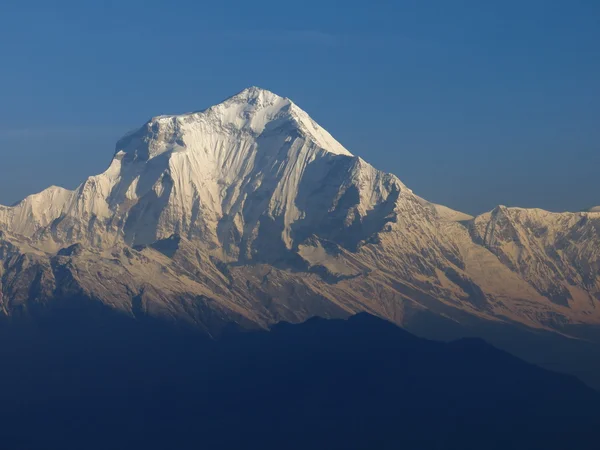 Majestuoso Dhaulagiri — Foto de Stock