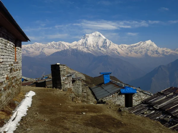 Pico de Dhaulagiri e Tukuche — Fotografia de Stock