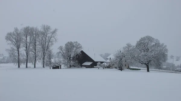 スイス連邦共和国の冬景色 — ストック写真