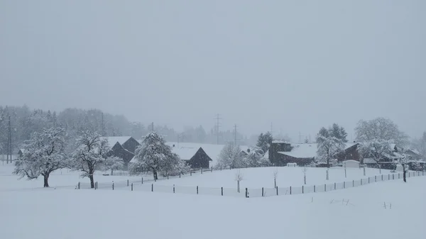 冬の日、降雪の農場 — ストック写真