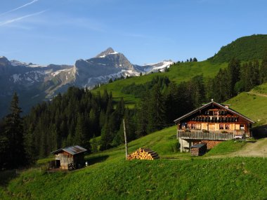 çiftlik evi ve oldenhorn