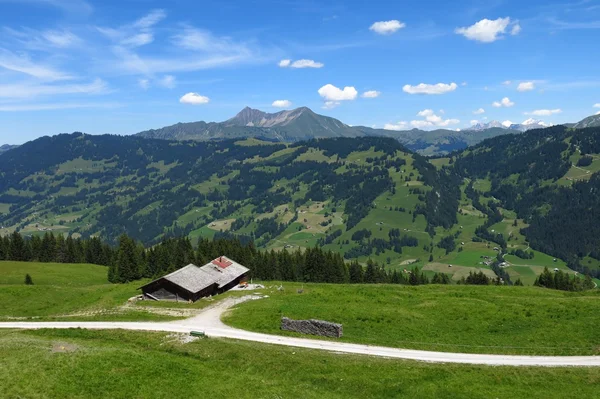 Krajina poblíž gstaad, bernese oberland — Stock fotografie