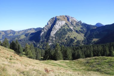 Choepfenberg Dağı ve dağ ormanı.