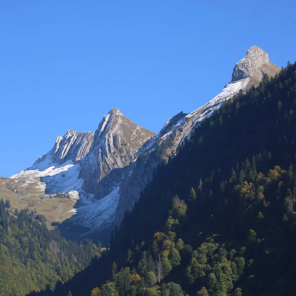 Rugged Mountains Forest Innerthal Schwyz Canton — Stock Photo, Image