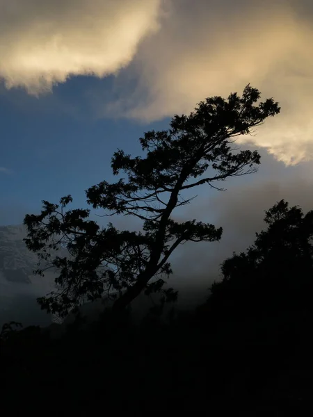 Khumjung Nepal Yakınlarındaki Bir Ağacın Silueti — Stok fotoğraf