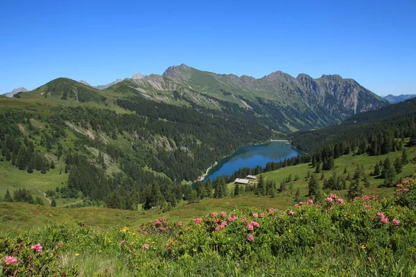 Paesaggio Montano Idilliaco Vicino Gstaad Svizzera — Foto Stock