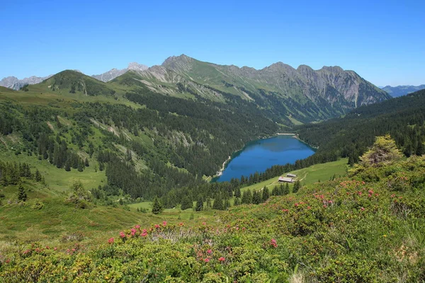 Blue Lake Arnensee Mountains Alpenrosen Pink Wildflowers — Stock Photo, Image