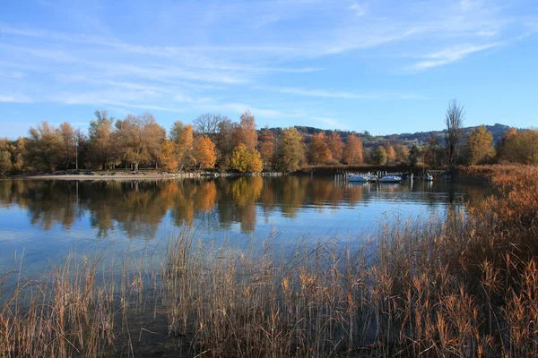 Auslikon, Zürih 'te altın ağaçlar.
