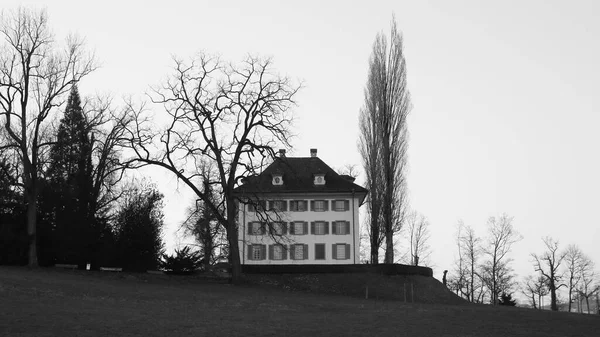 Richard Wagner Museum Trees Lucerne — Stock Photo, Image