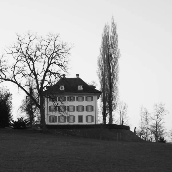 Richard Wagner Museum Tree Lucerne — стокове фото