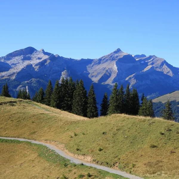 Mount Oldehore Vanaf Mount Wispile Gstaad — Stockfoto