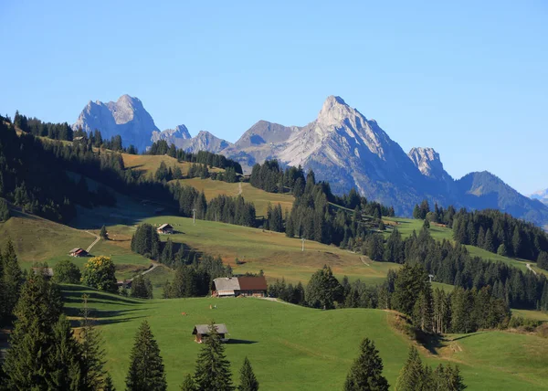 Zielone Pola Uprawne Góry Widziane Rinderberg Szwajcaria — Zdjęcie stockowe