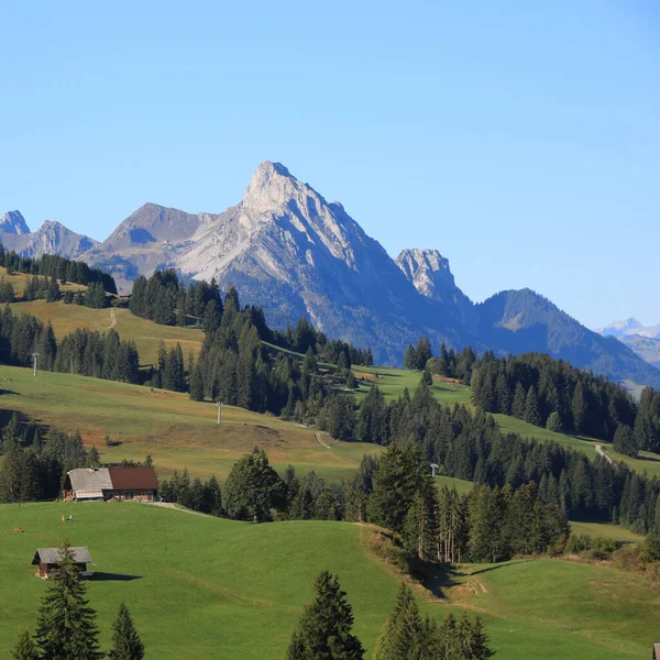 View Mount Rubli — Stock Photo, Image