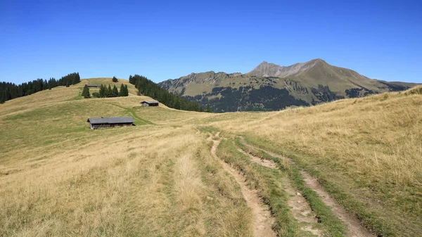 Sendero Del Pie Monte Wispile Gstaad — Foto de Stock