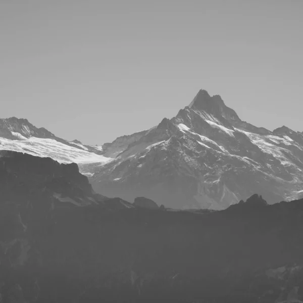 Mount Schreckhorn Och Övre Grindelwald Glaciären — Stockfoto