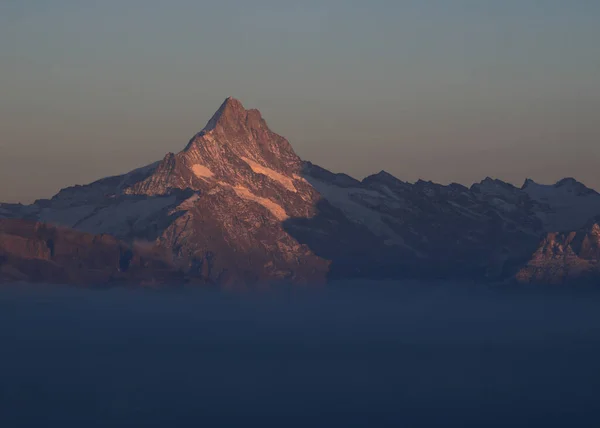 Monte Schreckhorn Atardecer Vista Desde Monte Niederhorn —  Fotos de Stock