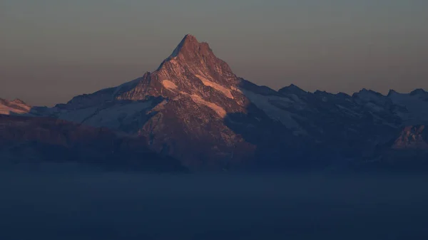 Monte Schreckhorn Pôr Sol Vista Monte Niederhorn — Fotografia de Stock