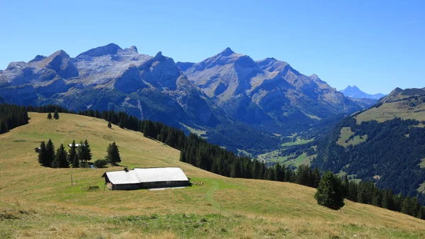 Pohled Mount Wispile Podzim — Stock fotografie