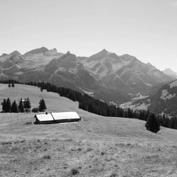 Τοπίο Στο Bernese Oberland Ελβετία — Φωτογραφία Αρχείου