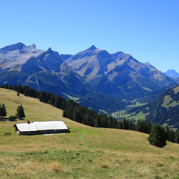 瑞士格施塔德附近的山地景观 — 图库照片