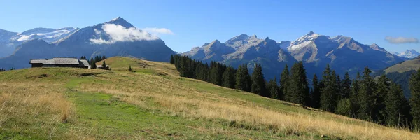 Bergskedjan Sett Utifrån Mount Wispile Gstaad — Stockfoto