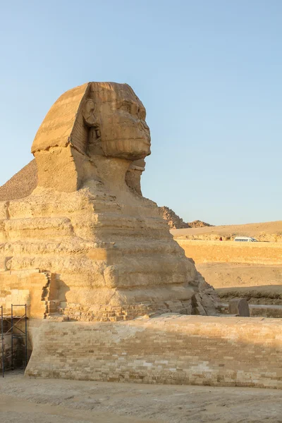 Sphinx — Stockfoto