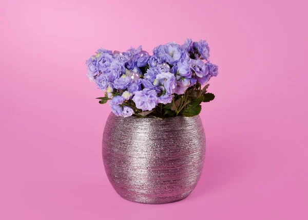 Bos van bloemen op roze achtergrond — Stockfoto