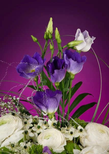 Bunch of flowers on dark purple background — Stock Photo, Image